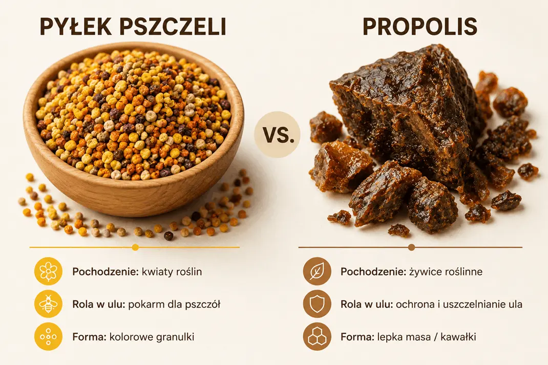 propolis-a-pylek-pszczeli