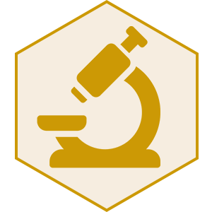Badania MGO nieprzerwanie od 2016