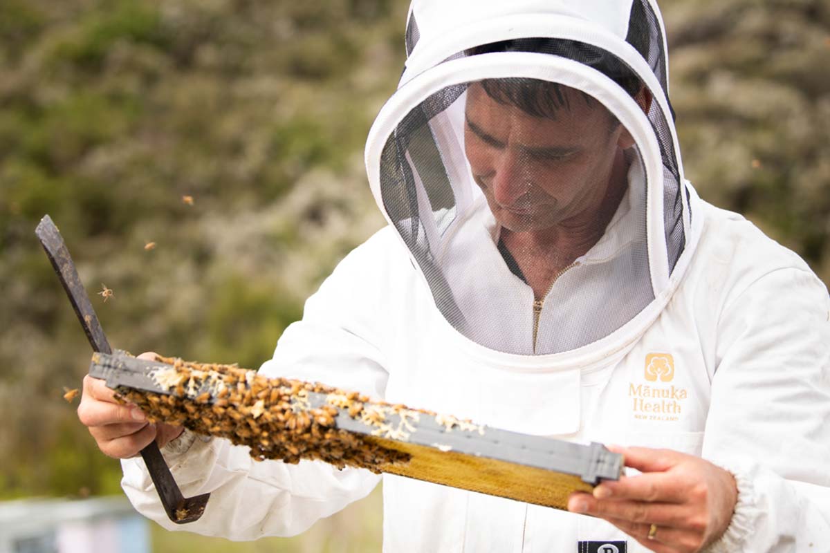 Miód Manuka propolis